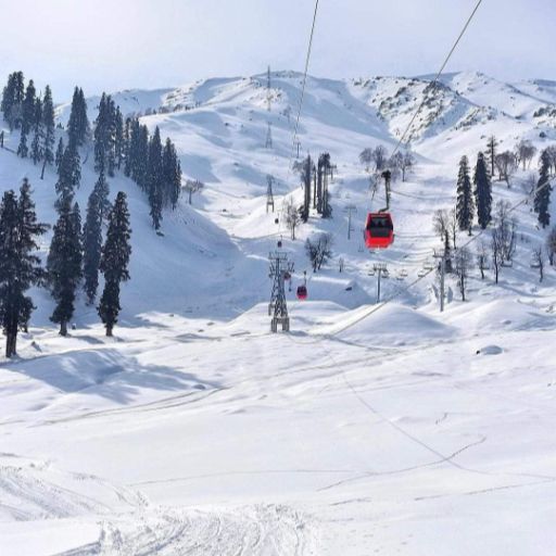 Our Couples Group Trip